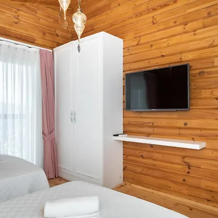 Villa Eco Yasemin *